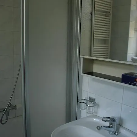 Alpina Hotel 2*
