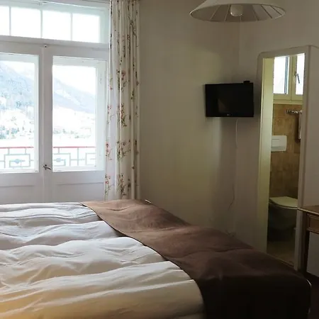 Hotel Alpina 2*