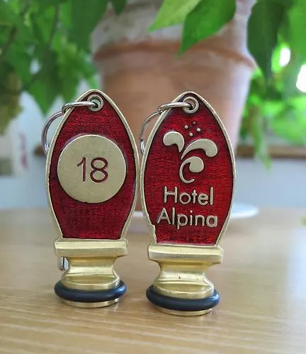 Отель Alpina