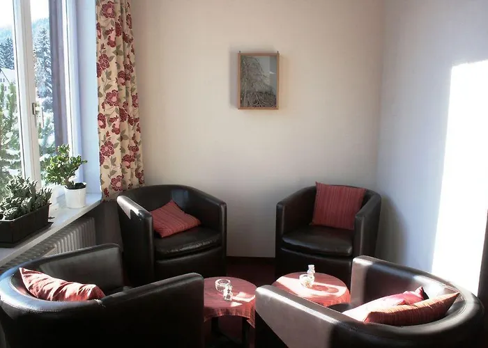 Отель Alpina 2*