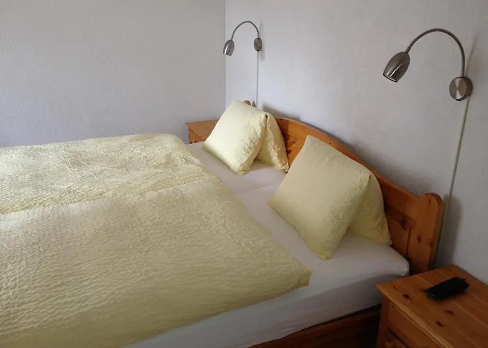 فندق Alpina دافوس