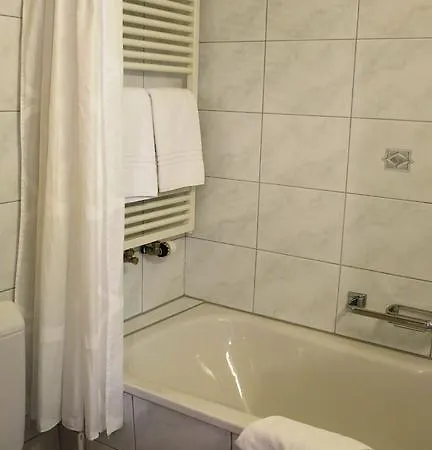 Hotel Alpina 2*