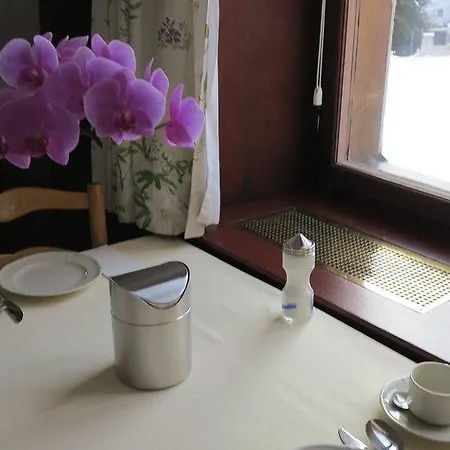 Hotel Alpina