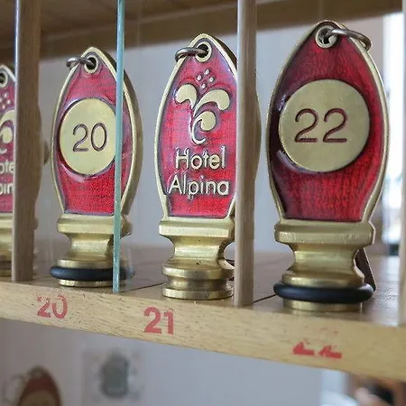 Hotel Alpina 2*