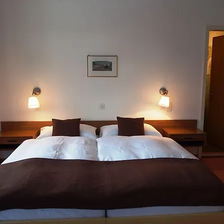 Hotel Alpina Davos