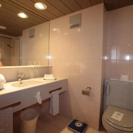 Alpina Hotel